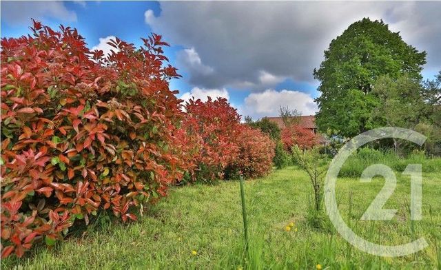 terrain à vendre - 872.0 m2 - FEIGERES - 74 - RHONE-ALPES - Century 21 Le Genevois