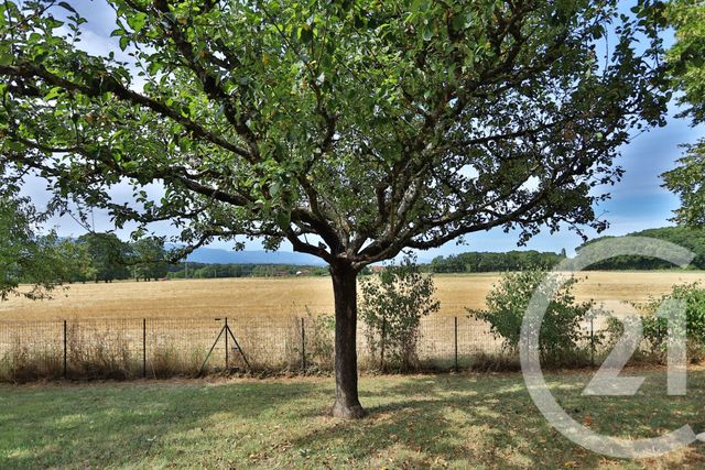 maison à vendre - 6 pièces - 167.65 m2 - FEIGERES - 74 - RHONE-ALPES - Century 21 Le Genevois